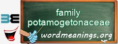 WordMeaning blackboard for family potamogetonaceae